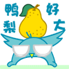 可爱的肥肥鸟QQ表情