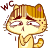 可爱的木木猫表情系列