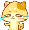 可爱的木木猫表情系列