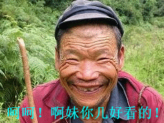 经典QQ表情收集 你就折腾吧