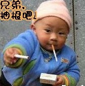 经典QQ表情收集 你就折腾吧