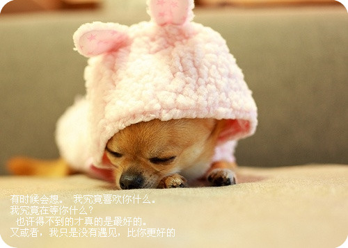 或许你已经忘记了_唯美QQ空间文字贴图素材