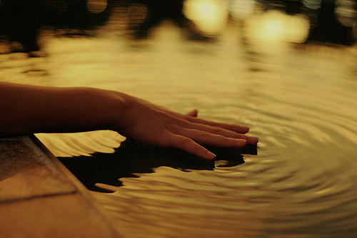 蝴蝶的美丽_唯美意境的QQ空间素材