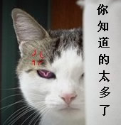 非常搞笑的QQ表情大全