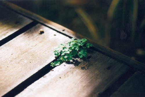 斑驳的墙壁映出我的回忆_唯美风格的空间素材