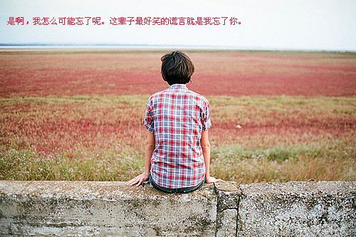 还是会寂寞_孤单寂寞的文字贴图空间素材