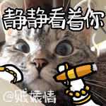 nala喵星人搞笑表情 美国表情帝nala动态微信表情