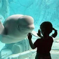 幸福微信情侣头像一男一女两张 2022好看的情侣头像两张