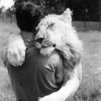 爱搞怪的可爱男生微信个性头像 在爱情里面我们只是开了个玩笑