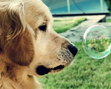 搞笑霸气网名大全2022最新版的 胸大无脑说的就是你