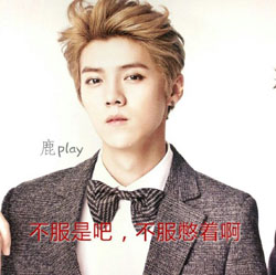 exo鹿晗文字表情包 长得帅是我的错吗