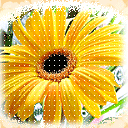 重阳节qq表情图片