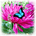 重阳节qq表情图片