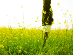 意境伤感的非主流女生QQ空间图片素材