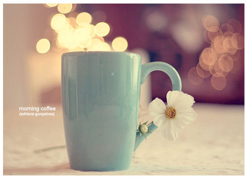 一直在用心呵护我们的爱情_情感意境女生QQ空间图片