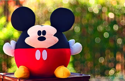 忧伤或许只是青春的文字_唯美意境的可爱QQ空间素材