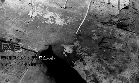 点击图片可在新窗口打开 445×268