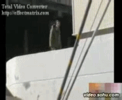 越看越蛋痛的QQ表情 蛋痛QQ表情集