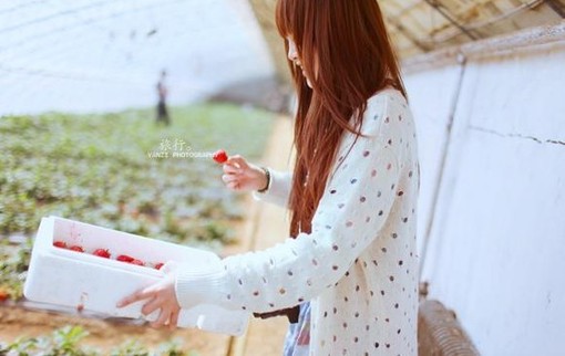 同唱幸福好看的个性图片“梦的尽头是回忆的终结”