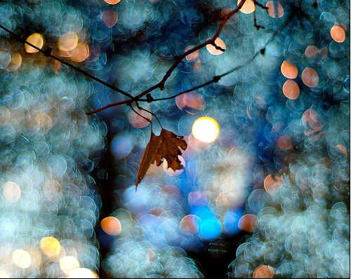 漂流在灯火阑珊的街_梦幻意境的非主流QQ空间装饰素材