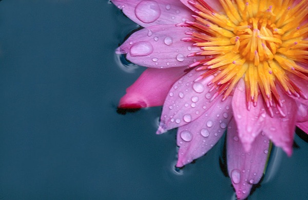 终于你还是逃出了我的地老天荒