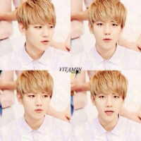 EXO明星头像大全 最受欢迎最流行的exo四格微信个性头像