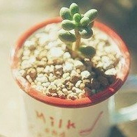 精选情感文字空间图片2022 我在流年里忘记开会