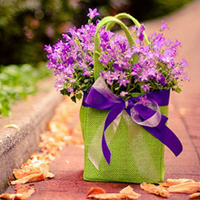 2022清新唯美的微信空间图片 一辈子拥有浅浅的幸福