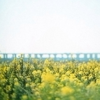 在田野中漫步飞舞_绝美微信空间风景图片