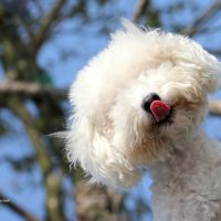 阳光帅气的个性签名想你网精选 我太帅这是我们之间的隔阂