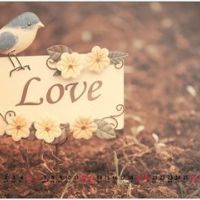 微信群头像大全唯美风景图片 当一个爱情中的过客