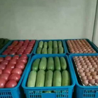 好看的治疗强迫症最好的图片 部队的食堂