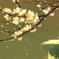 最新的唯美手绘植物古风范 继续实现下一个梦