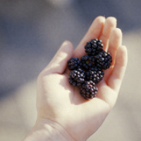 2022最新的有关手的个性头像精选 有些事要得到就必须学会先放下