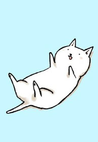 萌系卡通猫咪微信皮肤2022 你喜欢小猫咪吗