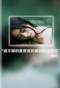 文艺唯美的文字透明微信皮肤 一个人怕孤独两个人怕辜负