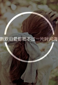 多想和远去的你说句话 女生文字透明微信皮肤