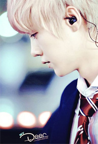 2022EXO空间皮肤素材大全 帅气可爱的exo成员微信空间皮肤