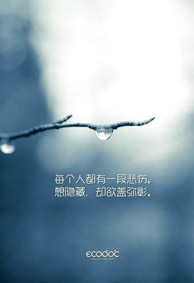 别惊动我爱的人等他我自己愿意 文字意境微信皮肤