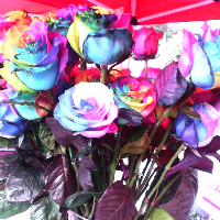 光棍节双十一伤感寂寞的微信签名 我正在努力变成自己喜欢的那个自己