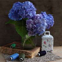 唯美静物花朵头像写真 熔金残日晓露云霜