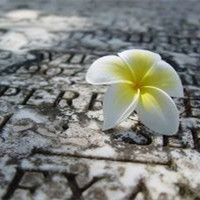 2022微信个性签名原创发布中心 我走到哪里都会想你