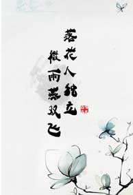 微信空间古风皮肤带字 落花人独立