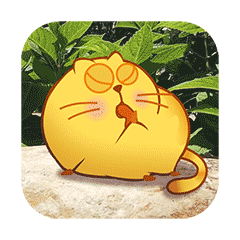 胖胖的开心猫动态表情图片大全集 当生活遇到了二次元
