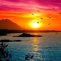 海边的夕阳唯美图片大全 现在的我很乖没有谈恋爱