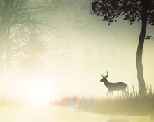 有个性的微信空间说说大全 一个男人如果爱你