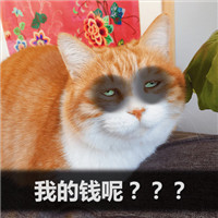 2022双十二剁手表情包喵星人 关于双十二的表情包