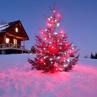 圣诞节图片梦幻唯美2022最新版 最唯美的圣诞节图片大全