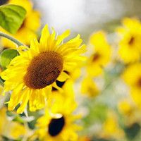 微信网名两个字的女生伤感落泪 只