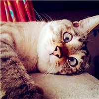 说说2022最新说说个性网精选 这么努力赚钱是为了什么